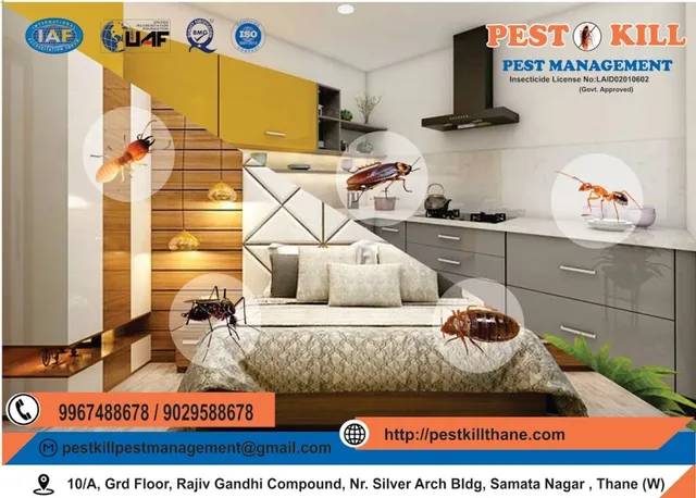 Pest Kill Pest Management - 5