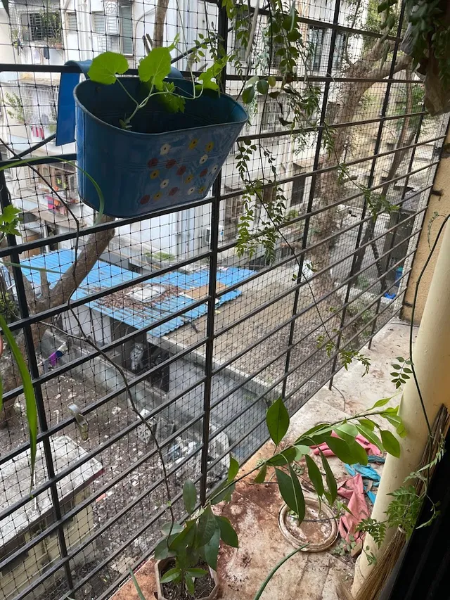 Organic Pest Control Pvt Ltd.. . - 3