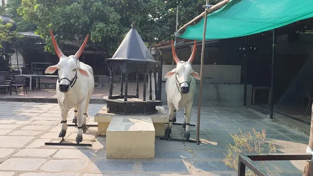 Vishnuji Ki Rasoi - 2