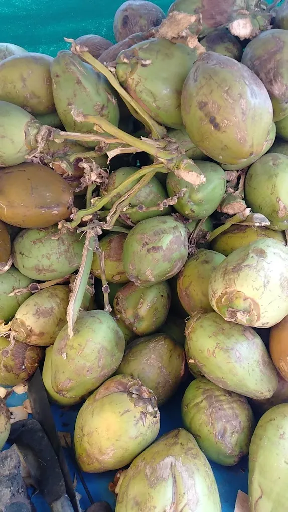 Maa durga fruits&juice center & panipuri center - 2