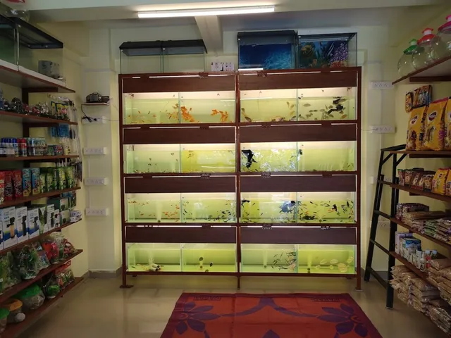 Ritu Pets Gallery & Aquarium - 4