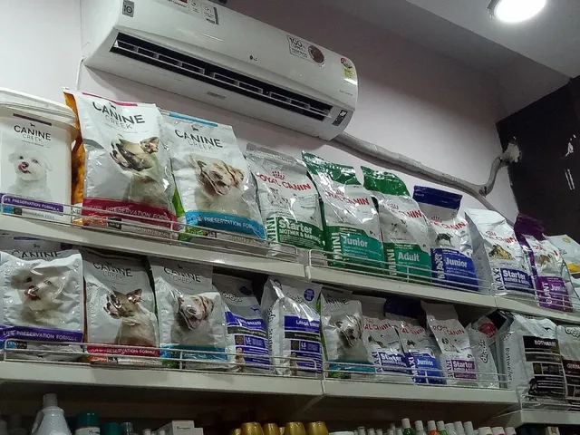 Hanumat Pets Gallery Grooming Salon & Aquariums - 2