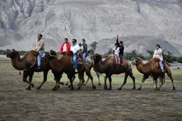 AVM Tours And Travels Nagpur | Travel Agency In Nagpur - 2