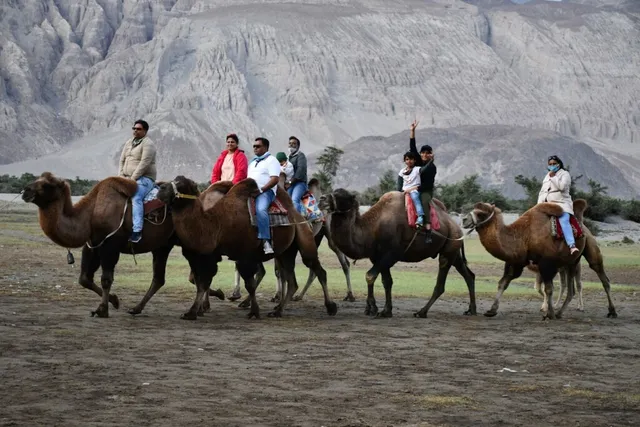 AVM Tours And Travels Nagpur | Travel Agency In Nagpur - 2