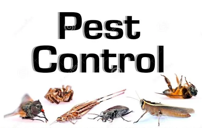 JAY PEST CONTROL - (Herbal Pest Control & Best Pest Control Services In Nagpur)