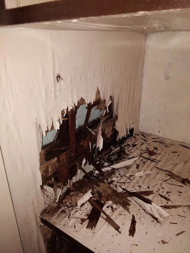 Nagpur Pest Control - 4