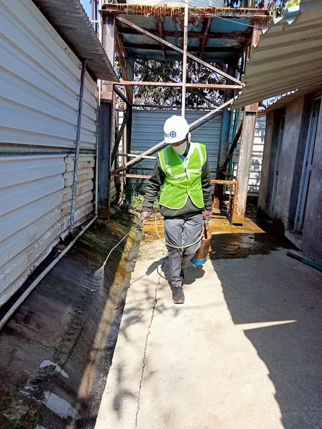 Dev Pest Control Services - 3