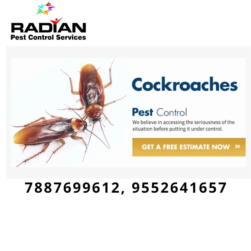 Radian Pest Control Services