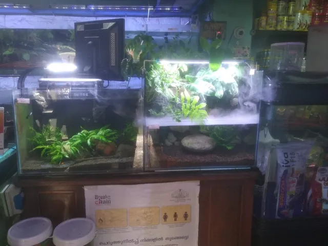 Pretty Pets Centre - 3