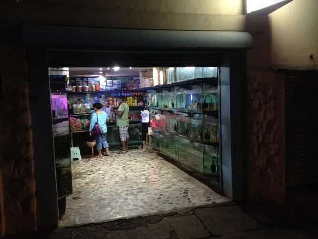 Pretty Pets Centre - 5