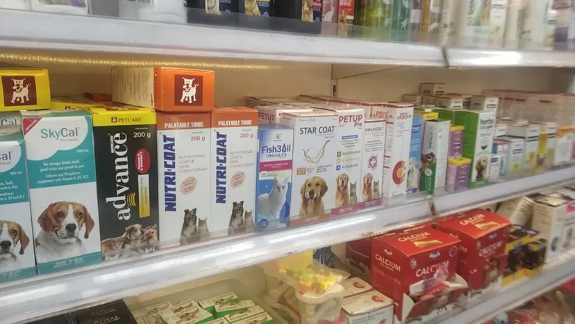 Happy Pets International