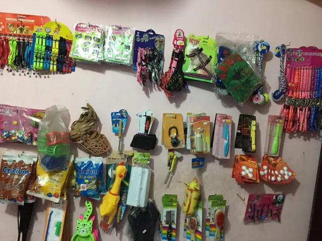 Family Pets & Aquarium - 3