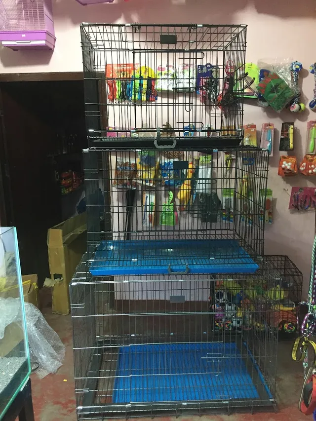 Family Pets & Aquarium - 4