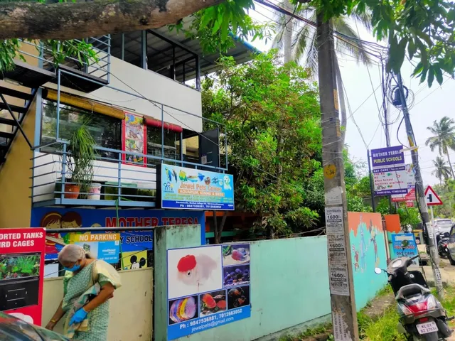 Jewel Pets corner - 3