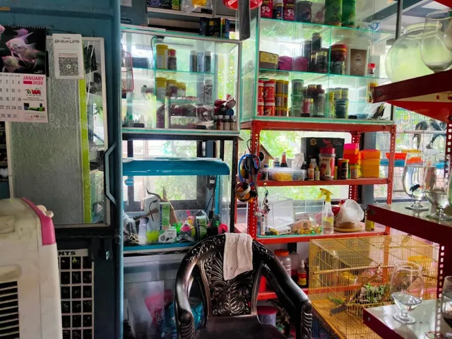 Jewel Pets corner - 5