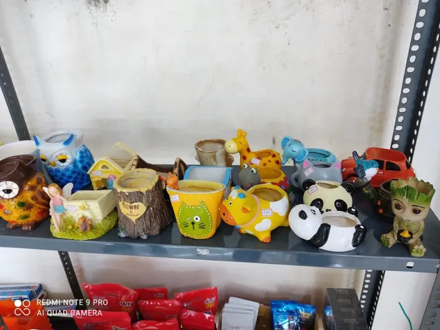 Trivandrum Pets & Aquarium - 4