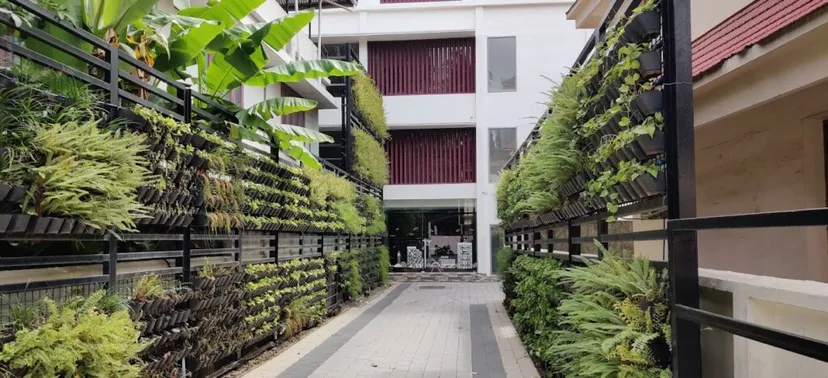 Pest Control & Cleaning Services