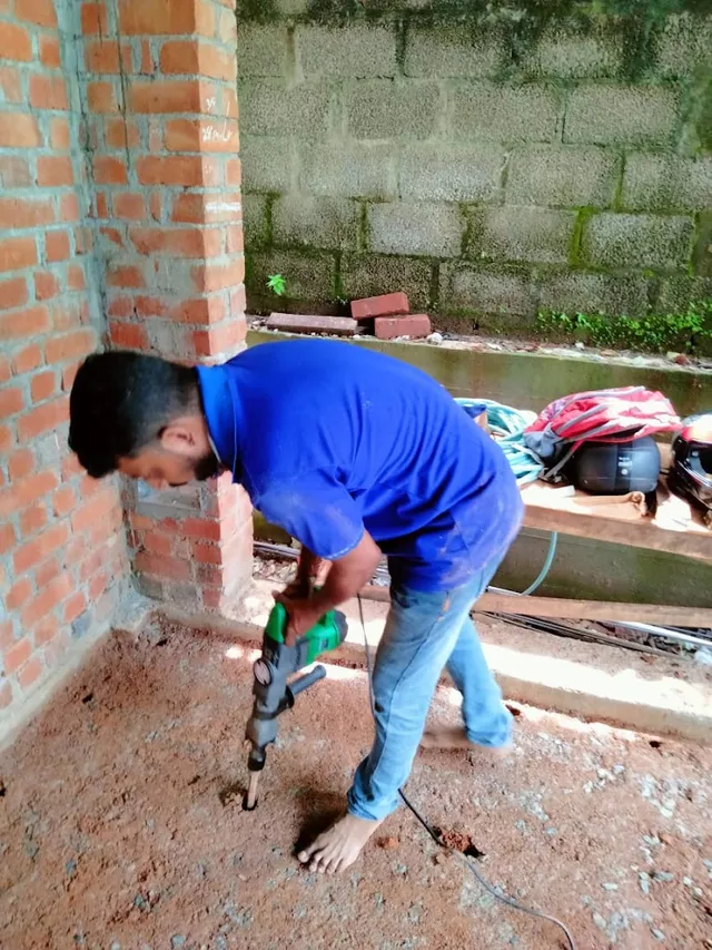 Pest Control & Cleaning Services - 3