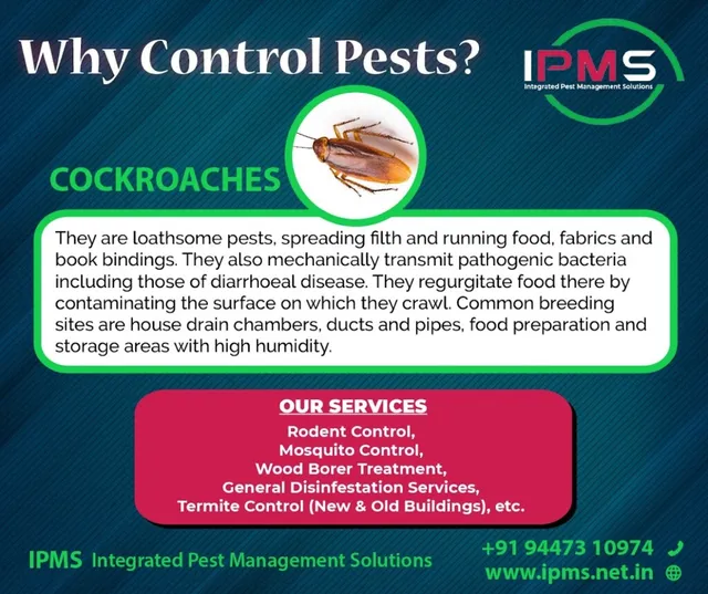 Integrated Pest Management Solutions - 2
