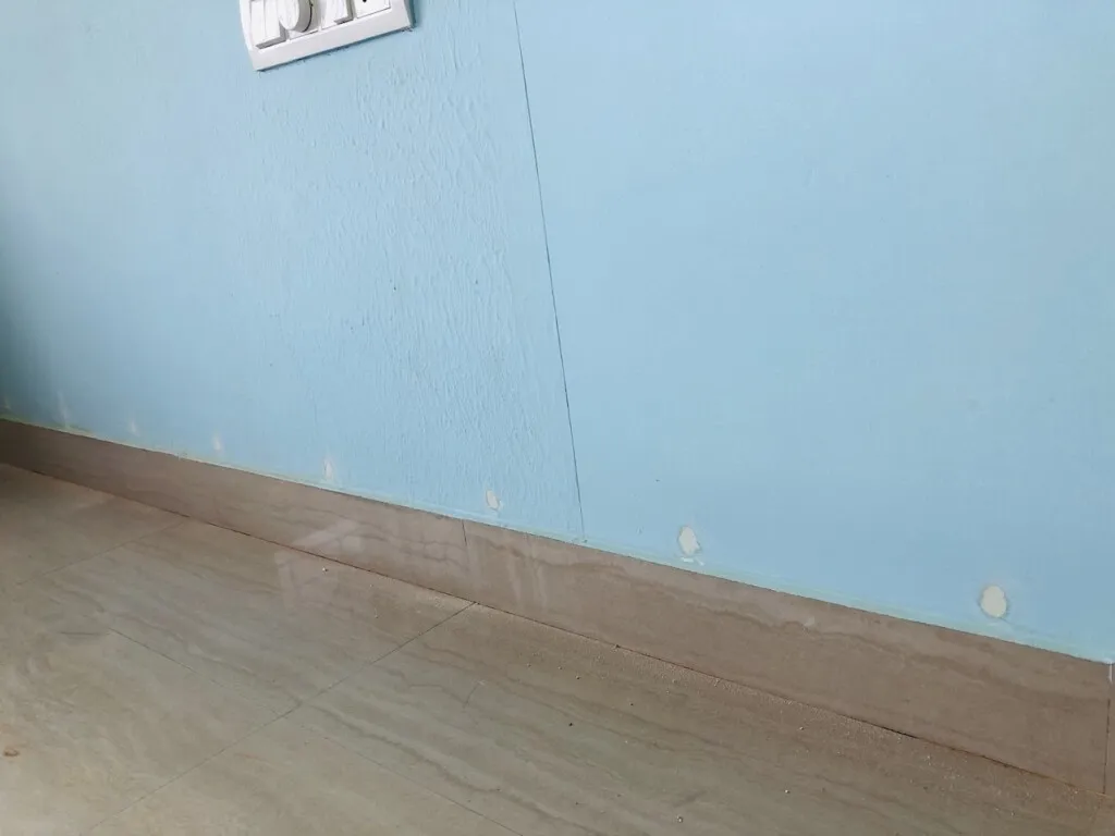 Good care pest control