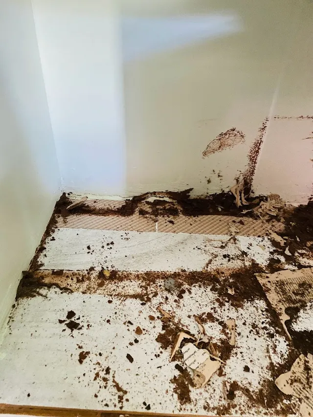 Good care pest control - 4