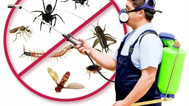 ITALIAN | Pest Control Services Thiruvanthapuram - 3