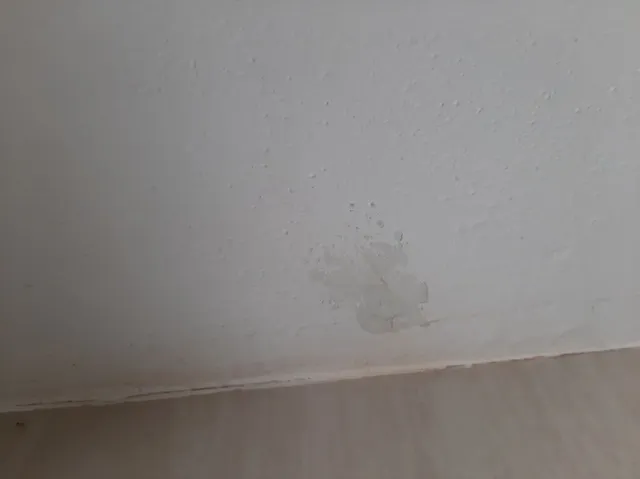 ADVANCE PEST CONTROL SERVICES - 3