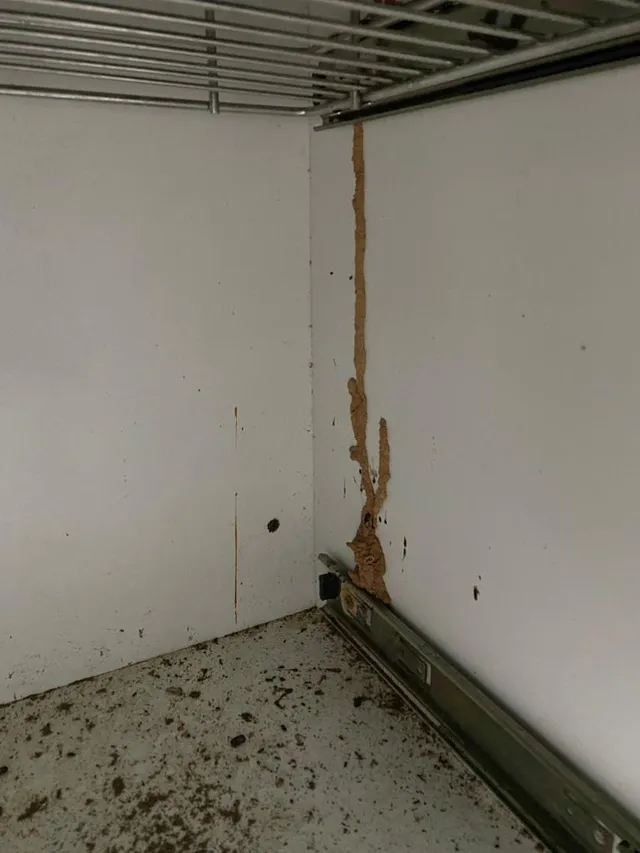 ADVANCE PEST CONTROL SERVICES - 5