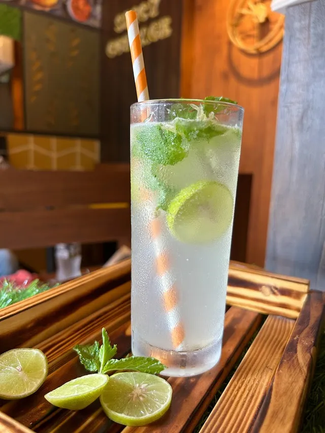 Spicy Cottage Veg & Non-Veg - 4