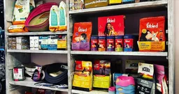 Pet Services Goa (Porvorim)