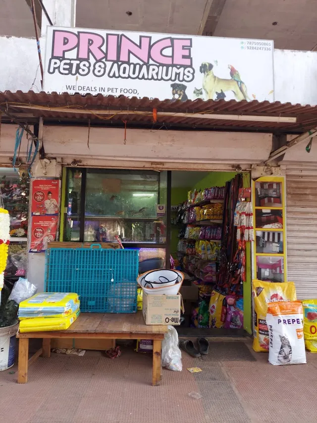 Prince Pets & Aquarium Siolim - 5