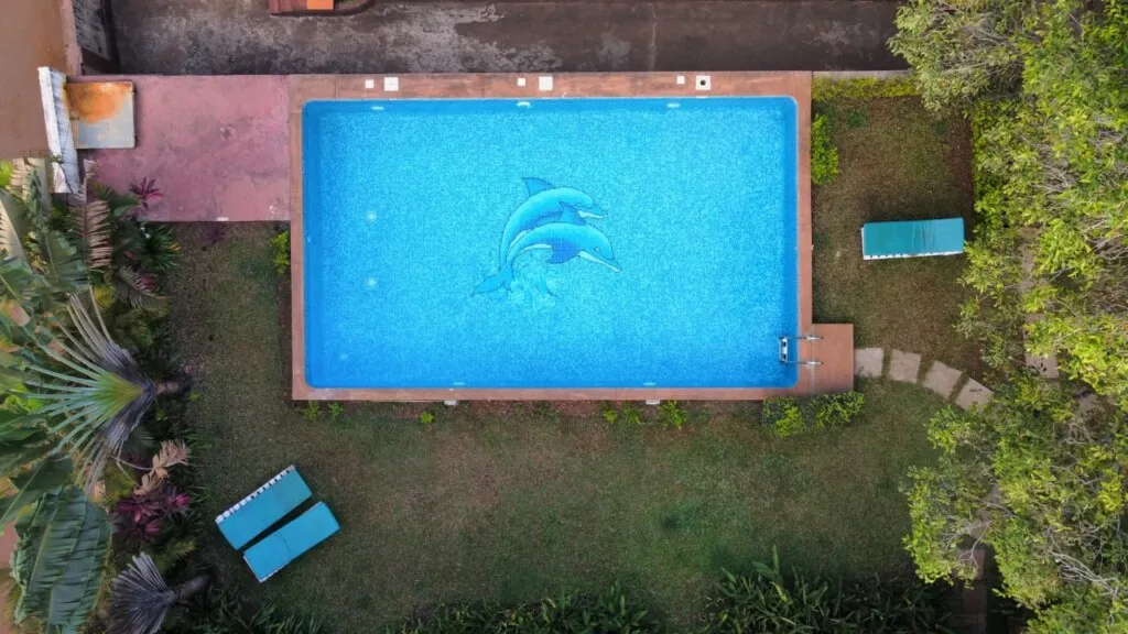 Naik Pools & Services