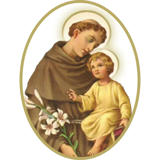 St. Anthony Driving School