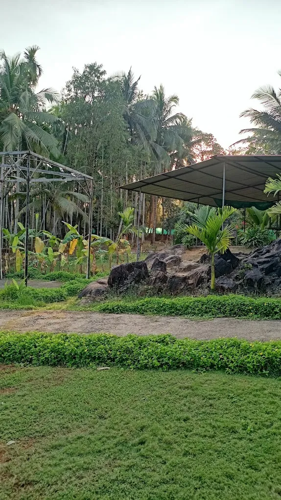 6 Shades Of Nature - 5