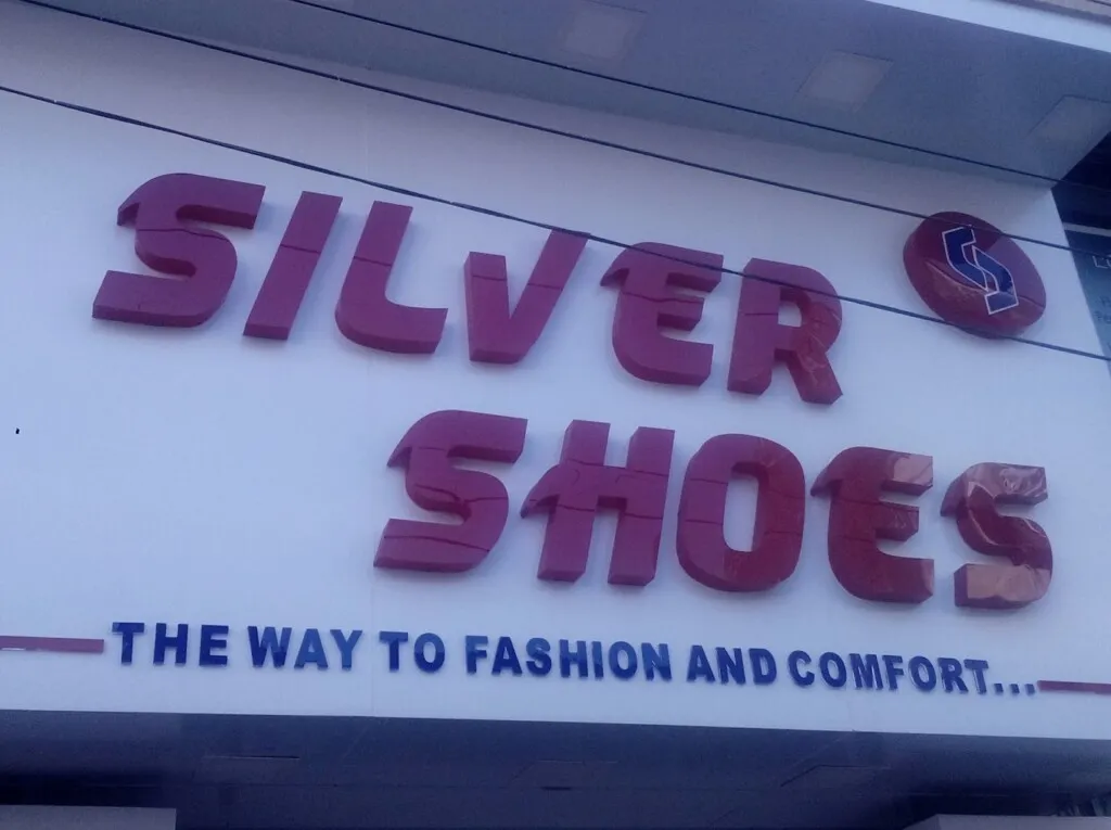 Silver Shoes
