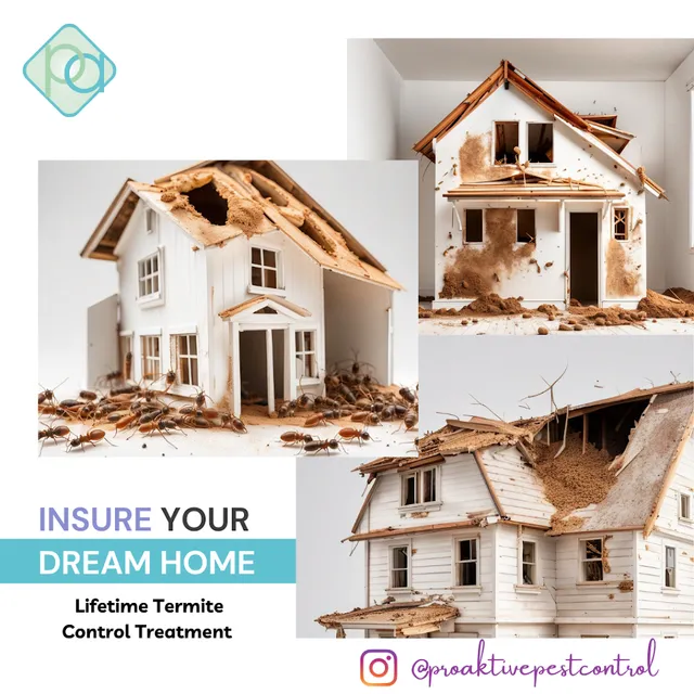 Proaktive Pest Control Services - 5