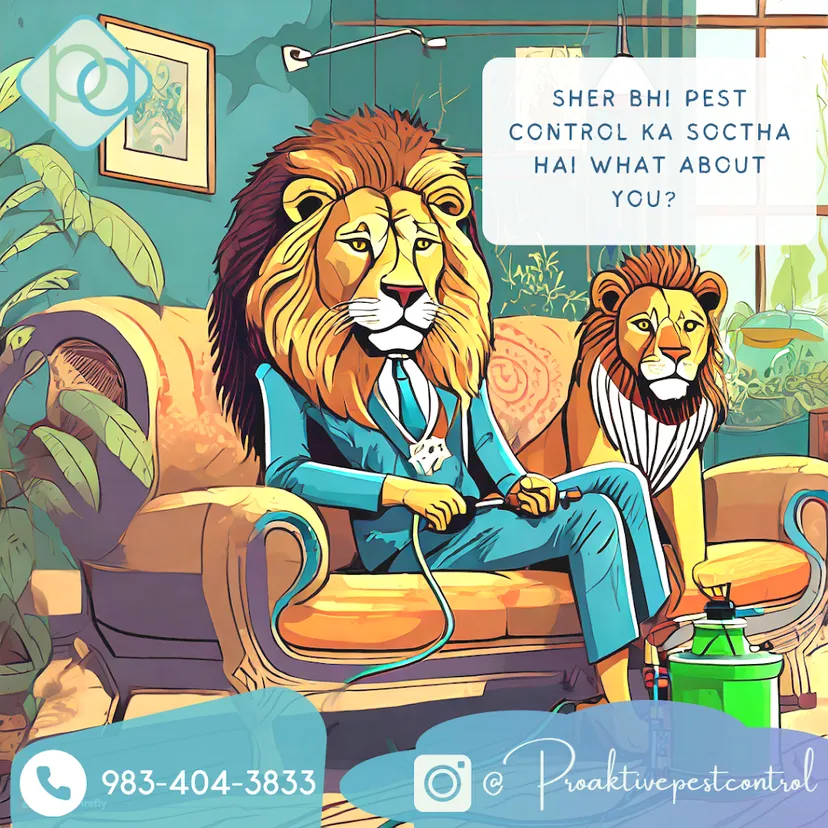 Proaktive Pest Control Services | Termite Treatment | General Pest Management for Ants Cockroaches Lizards