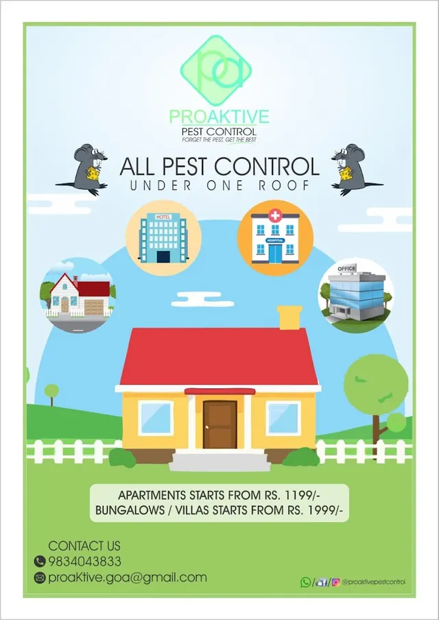 Proaktive Pest Control Services | Termite Treatment | General Pest Management for Ants Cockroaches Lizards - 2