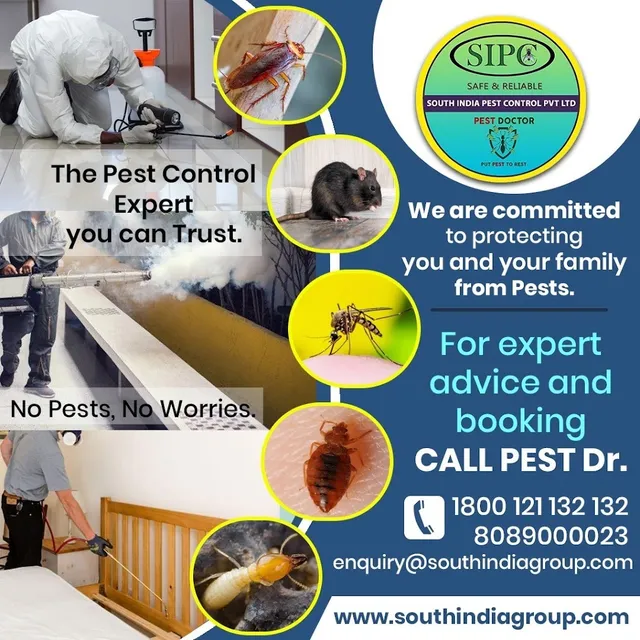 SIPC | Best Pest Control Mapusa, Goa | Pest Control Services in Goa - 5