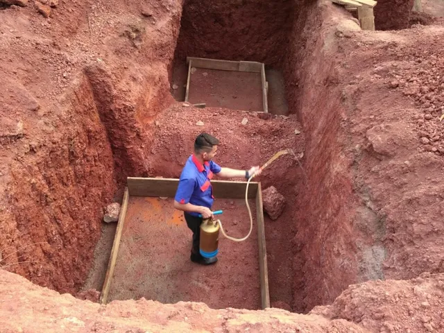 PEST ASSASSINS GOA - 2