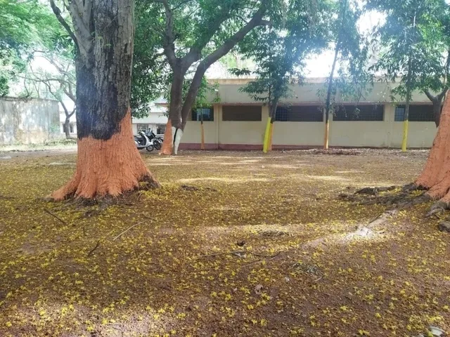 Motilal Nehru Government Polytechnic College - 2