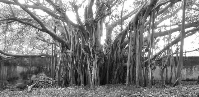 Motilal Nehru Government Polytechnic College - 5