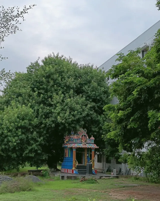 Senthil College of Education B.Ed, Puducherry - 2