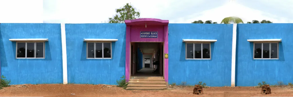 Divine Mother College