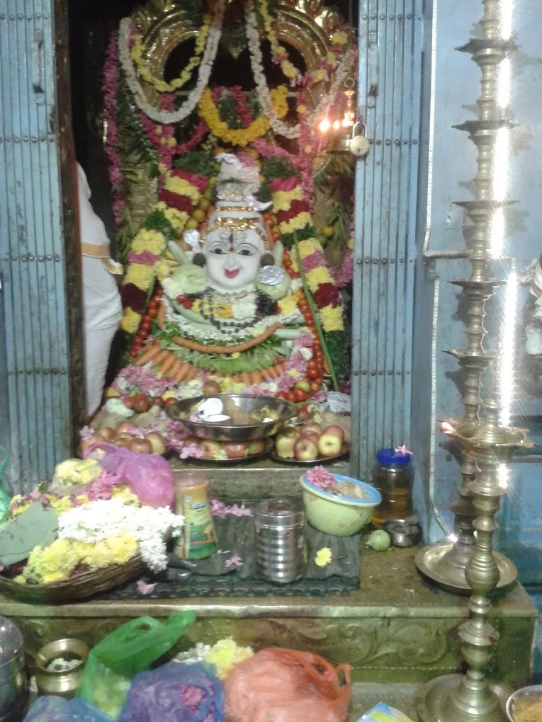 Blue Moon Gift Shop Puducherry