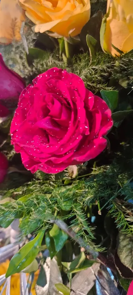 Archies Gallery Puducherry