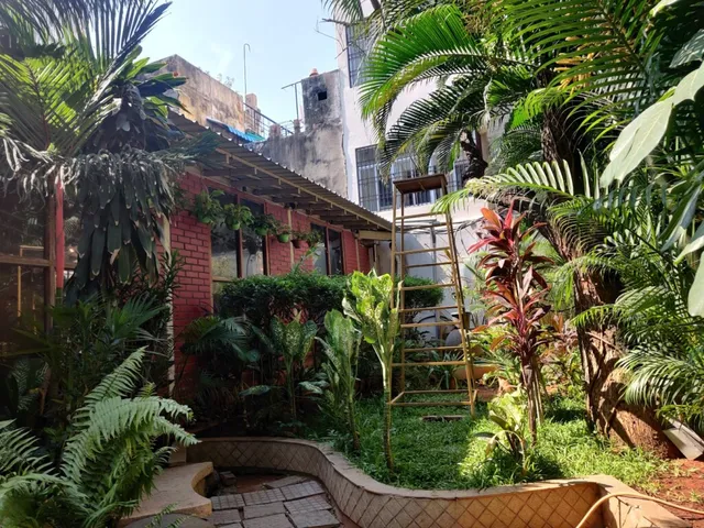 Surguru Restaurant - 2