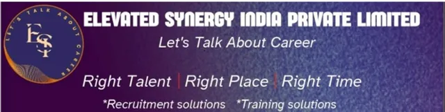 Elevated synergy India Pvt Ltd - 2