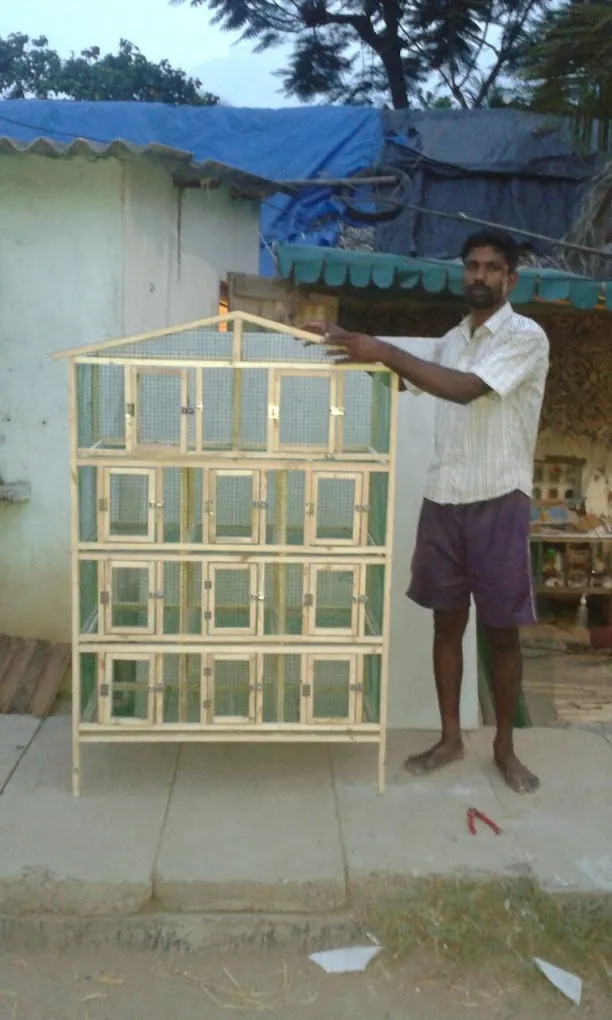 K.V.K. Pet Shop & Cages