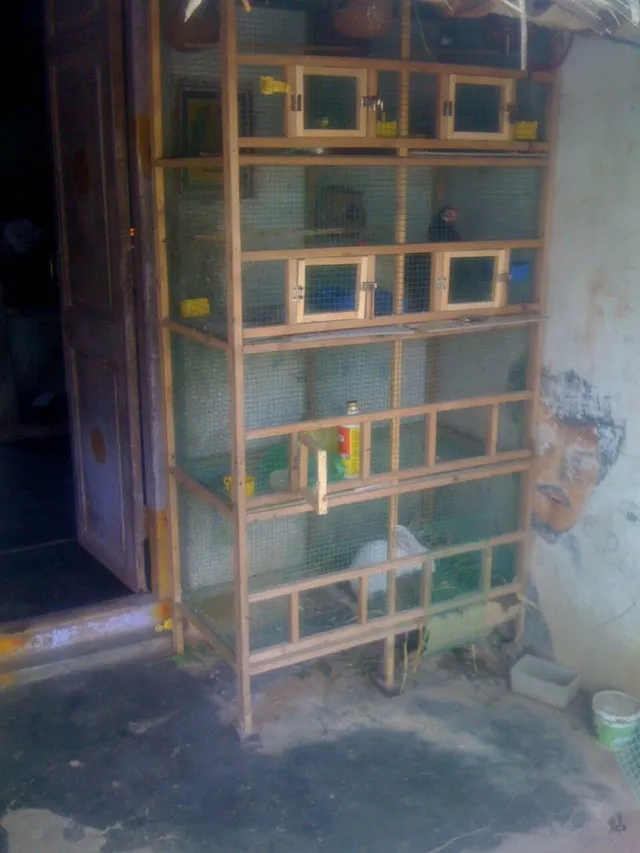 K.V.K. Pet Shop & Cages - 2